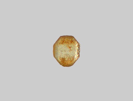Baryte - Plage de la Pointe du Bile - Penestin - Morbihan - FP - Taille 0,25mm