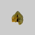 Epidote - Plage de la Pointe du Bile - Penestin - Morbihan - FP - Taille 0,3mm