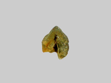 Epidote - Plage de la Pointe du Bile - Penestin - Morbihan - FP - Taille 0,3mm