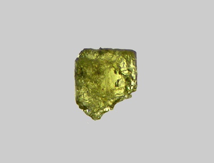 Epidote - Le Rhin - Kembs - Haut-Rhin - FP - Taille 0,35mm