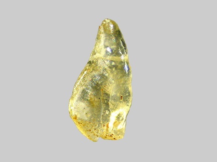 Forstérite - La Loire - Gien - Loiret - FP - Taille 0,8mm