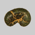 Glauconite - Plage de la Roussellerie - Saint-Michel-Chef-Chef - Loire-Atlantique - FP - Taille 0,7mm