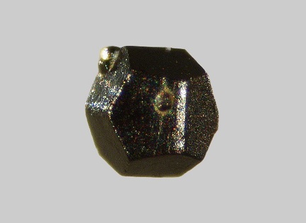 Limonite - Le Salat - Saint-Sernin - Ariège - FP -Taille 0,6mm