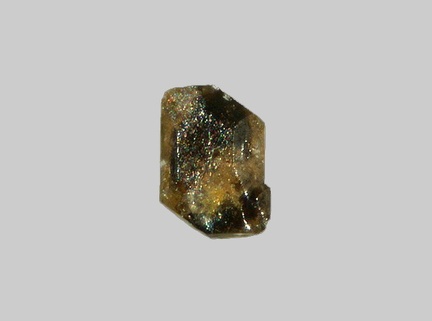 Monazite-(Ce) - Etang de la Gasne - Sainte-Feyre - Creuse - FP - Taille 0,4mm