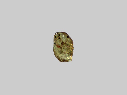 Monazite-(Ce) - La Loire - Gien - Loiret - FP - Taille 0,3mm