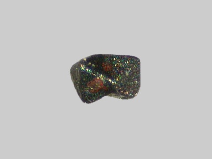 Magnétite - La Loire - Gien - Loiret - FP - Taille 0,3mm