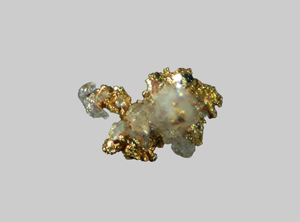 Or - Ruisseau de Mars - La Fagassière - Haute-Vienne - FP - Taille 0,5mm