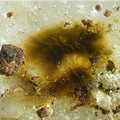 Opale - Mont Croustet - Ceyssac - Le Puy-en-Velay - Haute-Loire - FP - Champ 3,2mm