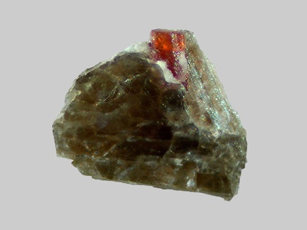 Rutile - Peygerolles - Saint-Privat-du-Dragon - Haute-Loire - FP - Taille 1,2mm