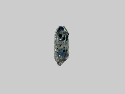 Saphir - Le Rhin - Kembs - Haut-Rhin - FP - Taille 0,3mm