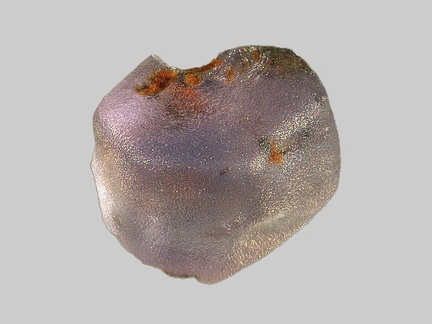 Saphir - Le Dolaison - Vals-près-le-Puy - Haute-Loire - FP - Taille 1,5mm