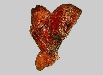 Staurolite - Ruisseau de Kerbihan - Scaër - Finistère - FP - Taille 3,5mm