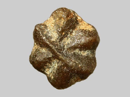Staurolite - Ruisseau Langelin - Landudal - Finistère - FP - Taille 2,8mm