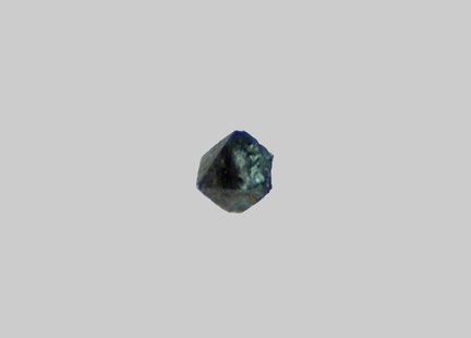 Spinelle - Le Maroni - Maripasoula - Guyane - FP - Taille 0,2mm