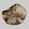 Sillimanite - L’Allier - Neuvy - Allier - FP - Taille 4mm