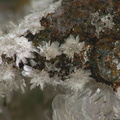 Hémimorphite -  carrière du Rivet - Montredon-Labessonié - Tarn