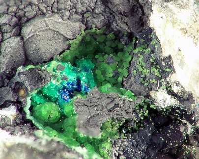 Conichalcite - Mine du Sautou - Castanet  - Montauban  -Tarn-et-Garonne