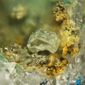 Leadhillite - Longefay - Poule-les-Echarmeaux - Rhône