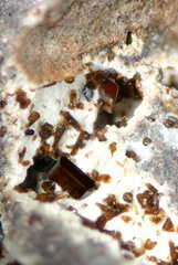 Pseudobrookite - Rochesauve - Ardèche