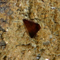 Anatase - Col de la Madeleine - Massif de la Lauzière - Savoie