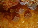 Nièvre