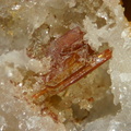 Raspite - Les Rompas - Larochemillay -  Château-Chinon - Nièvre
