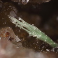 Agardite Quartz - Falgayrolles - Monteils - Aveyron
