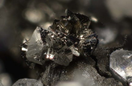 Löllingite - Ste Marie-aux-Mines - Haut-Rhin