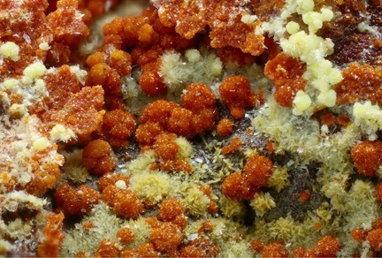 Umohoite - Mas d'Alary - Lodève - Hérault