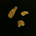 Or(paillettes) - Le Gardon - Boucoiran - Gard - JCC - 1,5 à 3 mm