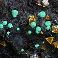 Malachite - Cuprite - Chessy les Mines - Rhône