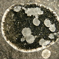 Phillipsite - St Julien Boutières - Ardèche