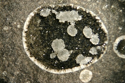 Phillipsite - St Julien Boutières - Ardèche