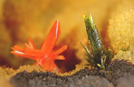 Crocoite Pyromorphite - Le Cantonnier - Nontron - Dordogne