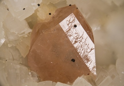 Iimoriite-(Y)   Pyrite - Trimouns - Luzenac - Ariège