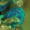 Yvonite - Pushcharovskite - Mas Cabardès - Salsigne - Carcassonne - Aude