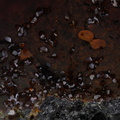 Cuprojarosite - les Rats - Le Crozet - Loire