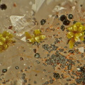 Gartrellite - Goethite - Falgayrolles - Monteils - Aveyron