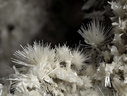Mine de l'Eguisse - Duranus