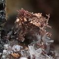 Cuivre Cerussite - Les Rats - Le Crozet - Loire