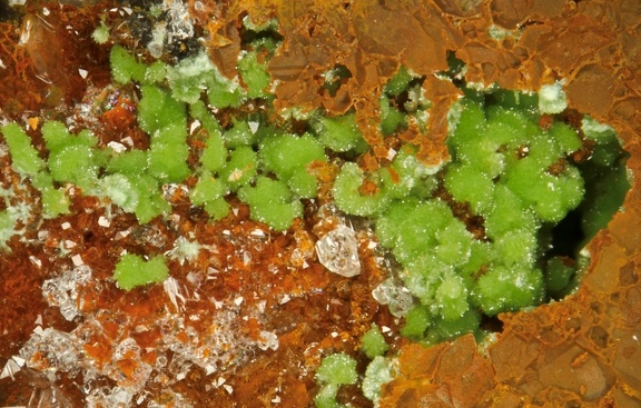 Conichalcite - Falgayrolles - Monteils - Aveyron