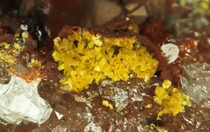 Gartrellite - Falgayrolles - Monteils - Aveyron