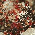 Carminite - Falgayrolles - Monteils - Aveyron