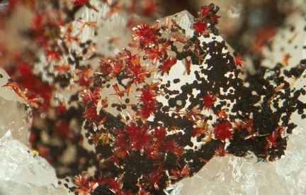Carminite - Falgayrolles - Monteils - Aveyron