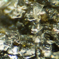 Matulaite - Fumade - Castelnau de Brassac - Fontrieu - Castres - Tarn