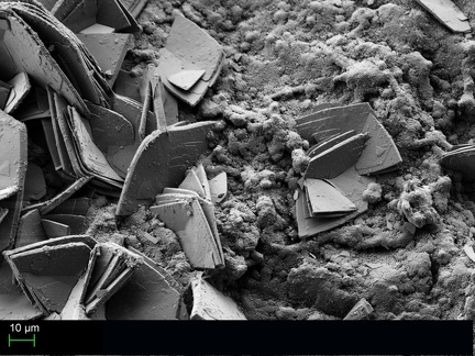 Matulaite - Fumade - Castelnau de Brassac - Fontrieu - Castres - Tarn