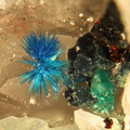 Connellite  Brochantite - Falgayrolles - Monteils - Aveyron