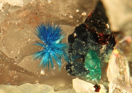 Connellite  Brochantite - Falgayrolles - Monteils - Aveyron