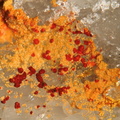 Arseniosiderite - Falgayrolles - Monteils - Aveyron