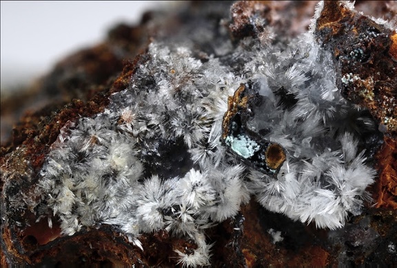Aragonite - Les Rats - Le Crozet - Loire
